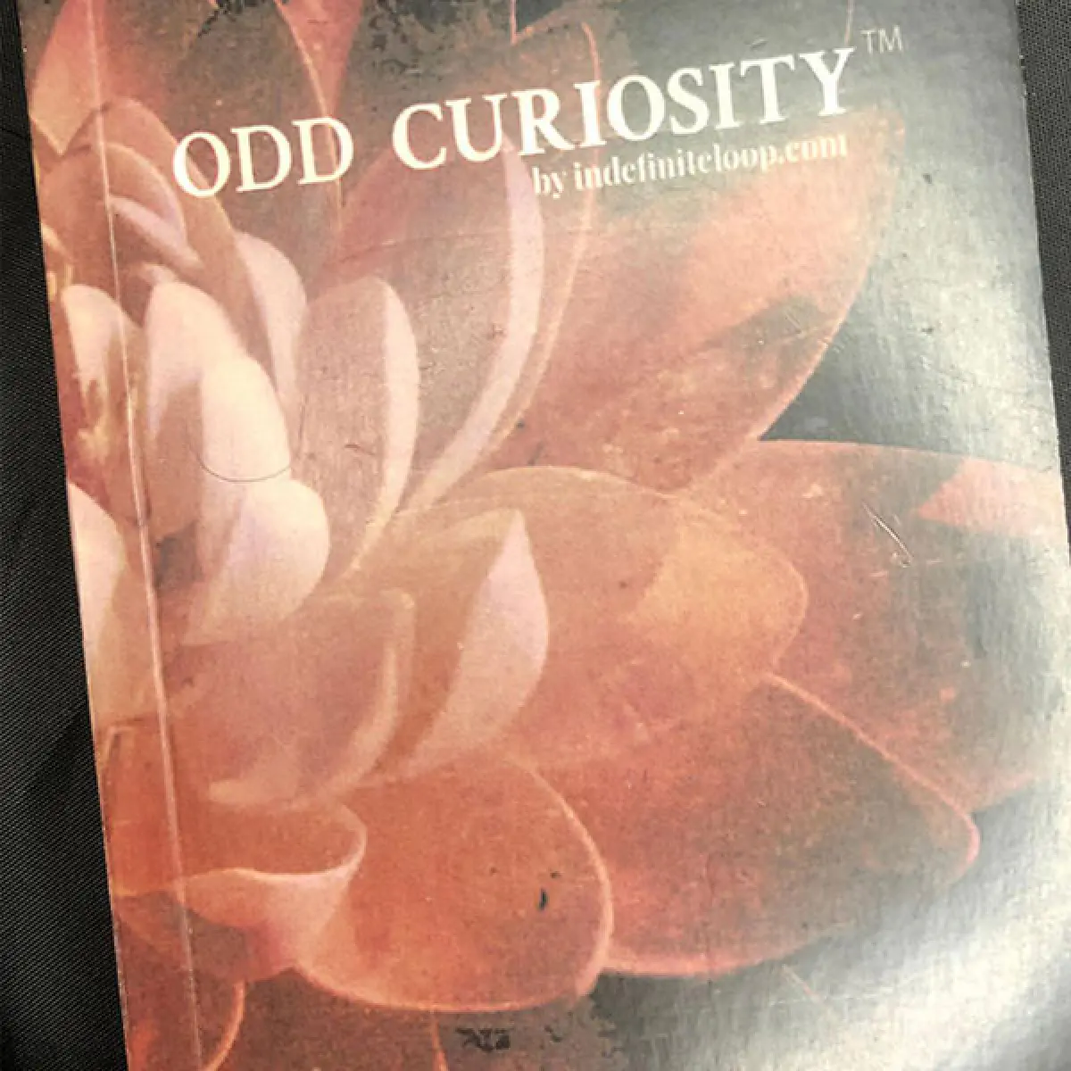 Love using pen and paper and notebooks? Buy a pocket-sized notebook. These are limited editions notebooks.